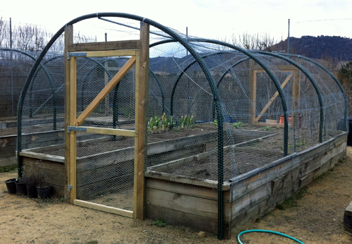 Bed 2 Enclosed